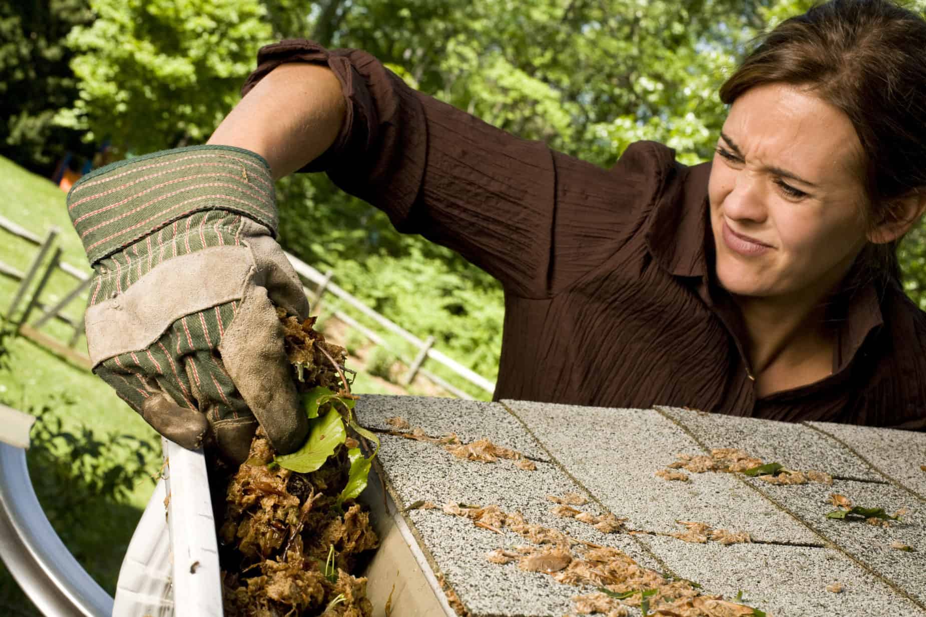 Clog free gutter system keeps the ladder in the garage
