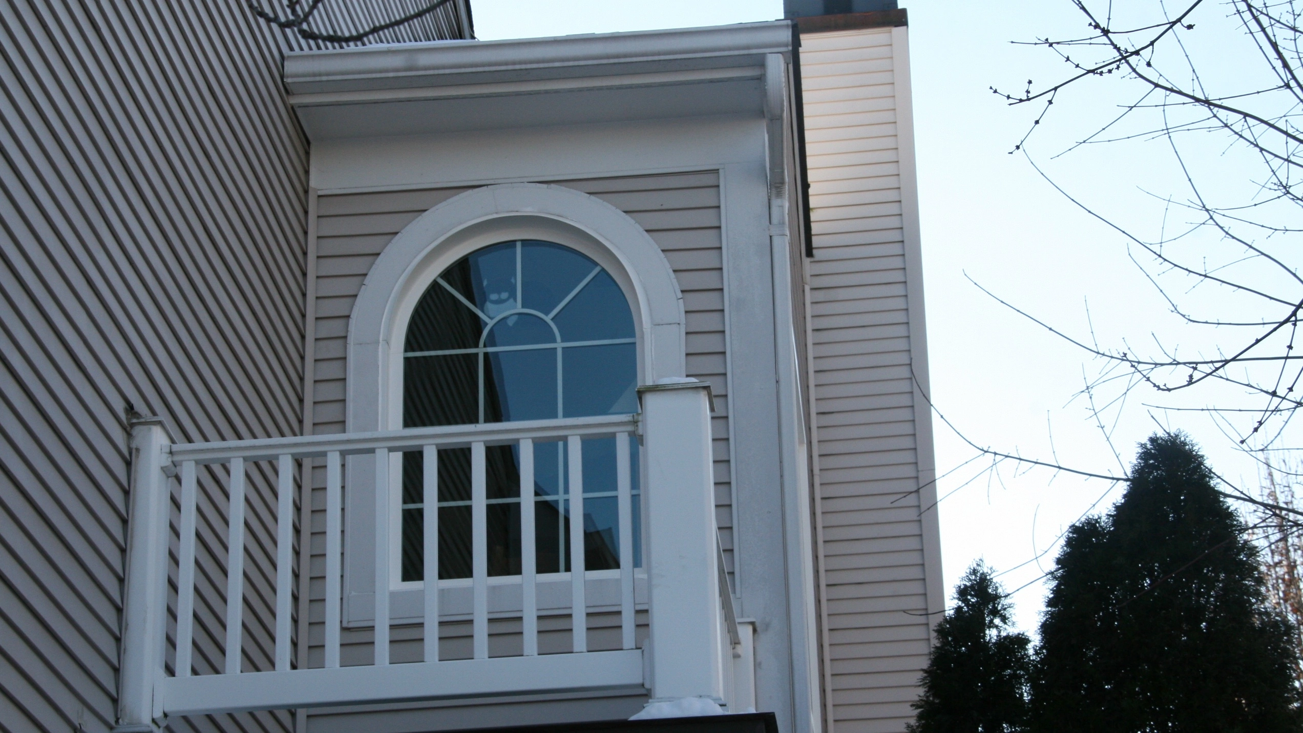 Update Your Home In Springfield, VA By Adding Bird-Safe Windows
